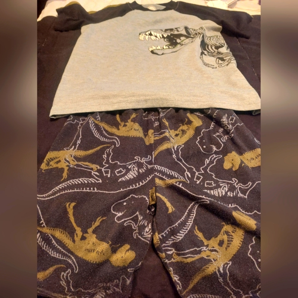 Boys dino Pajama short set
